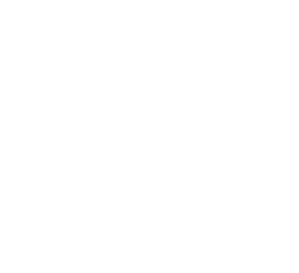 Licensed Premises of Ireland Logo